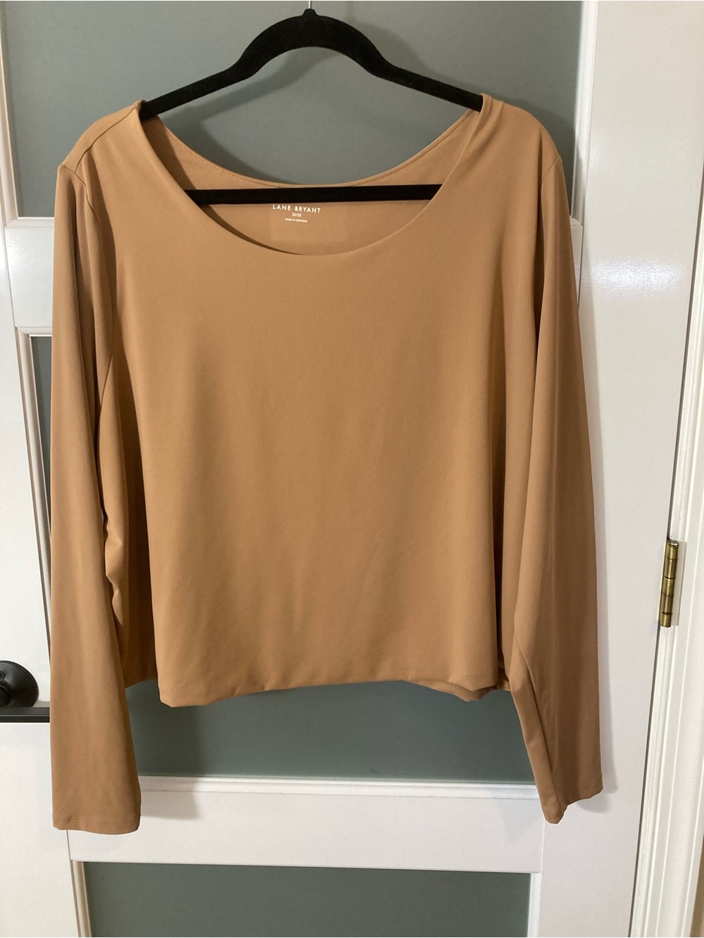 Lane Bryant Tan Long-Sleeve Scoop-Neck Cropped Top - Size 30/32